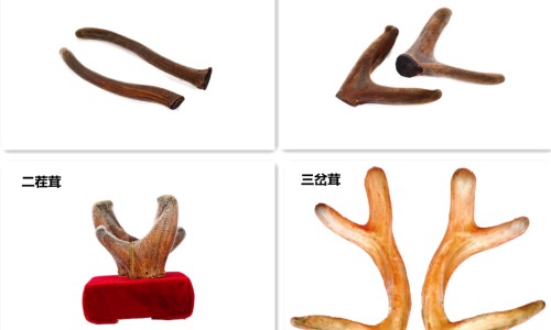 心脑清软胶囊说明书用法用量-心脑清软胶囊说明书用法用量专区_心脑清软胶囊的付作用专区_心脑清软胶囊的说明书网